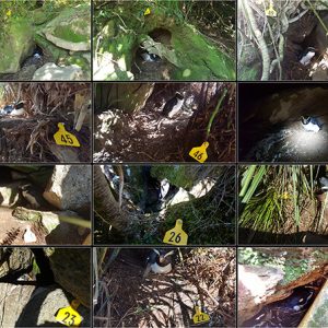 2017 season officially under way