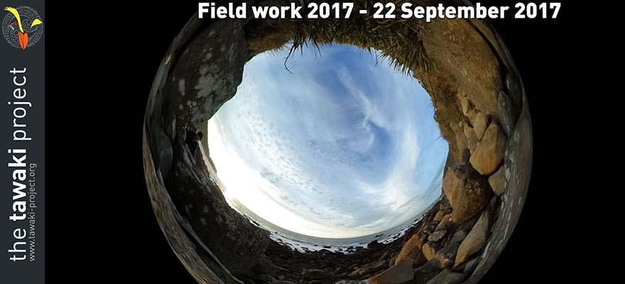 Field work 2017, Day 7 Field work 2017, Day 7
