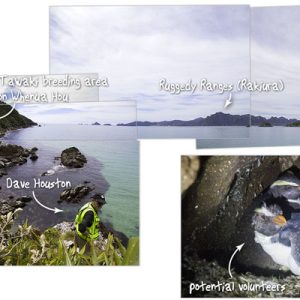 Going back to Whenua Hou soon