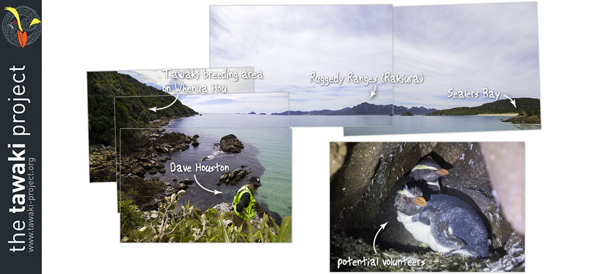 Going back to Whenua Hou soon Going back to Whenua Hou soon