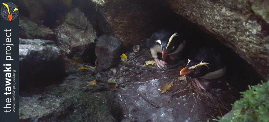 Season start in Milford Sound Season start in Milford Sound