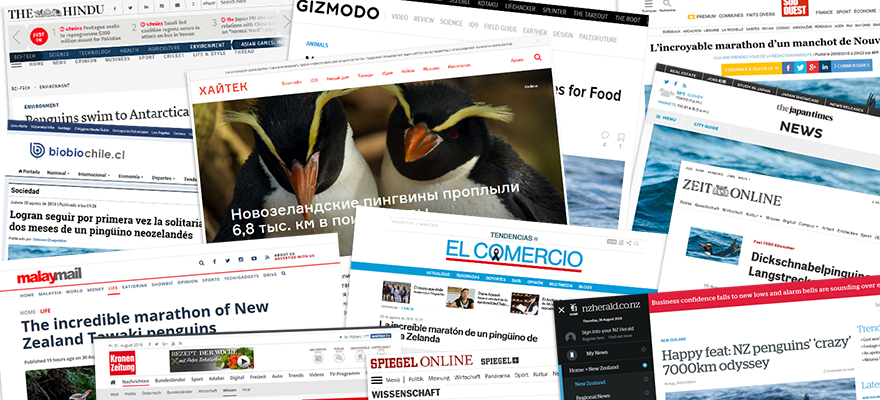 Marathon press – tawaki everywhere! Marathon press – tawaki everywhere!