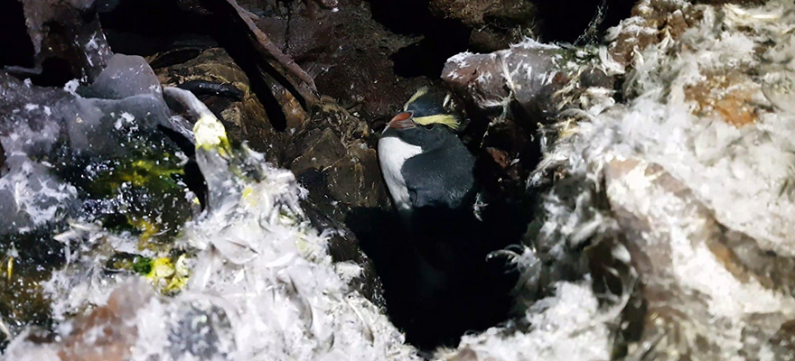 Underground Winter Wonderland Underground Winter Wonderland