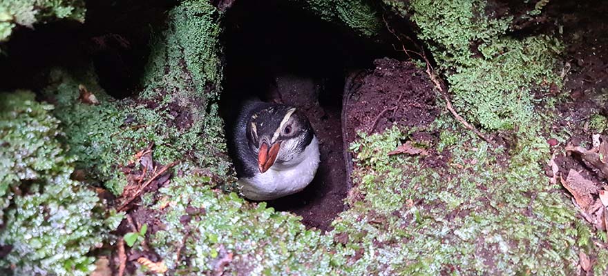 The Next Generation The Next Generation