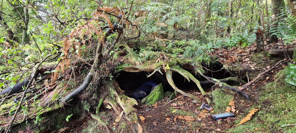 Field work 2022 underway