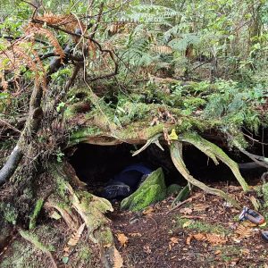 Field work 2022 underway