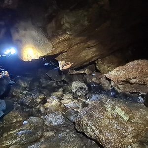 From forest to caves