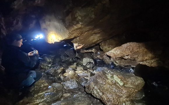 From forest to caves