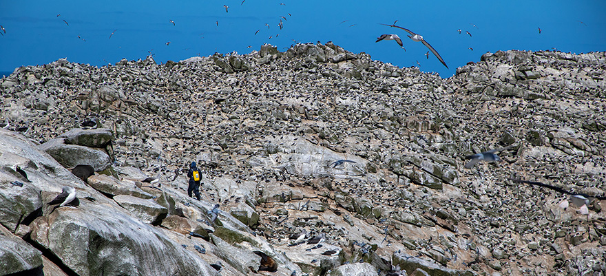 On Proclamation Island On Proclamation Island