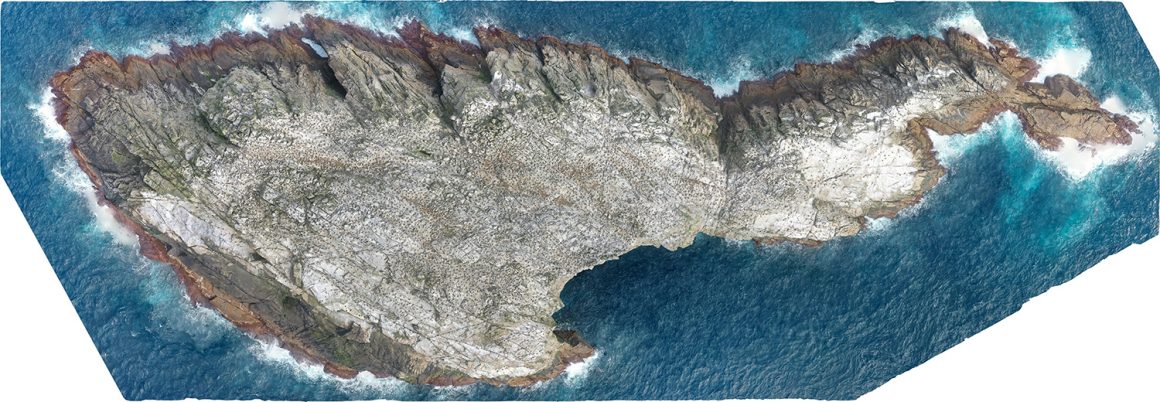 Bonus level: finishing up the Bounties