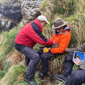 Starlink drops, counts and loggers