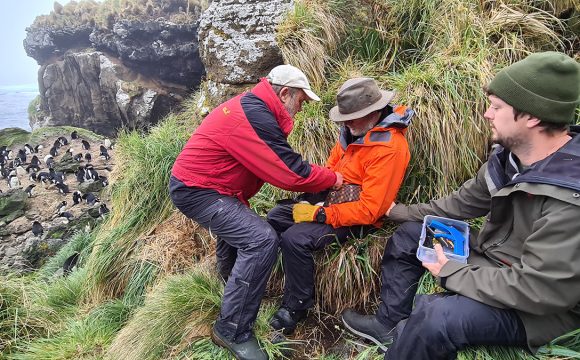 Starlink drops, counts and loggers