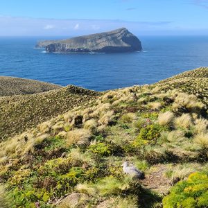 A day in pictures and videos