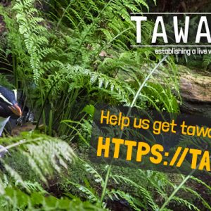 Fundraising campaign for TawakiCam launched Fundraising campaign for TawakiCam launched