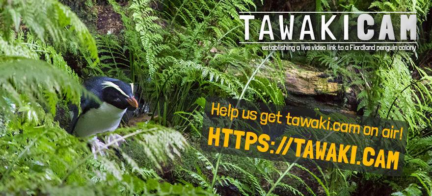 Fundraising campaign for TawakiCam launched Fundraising campaign for TawakiCam launched