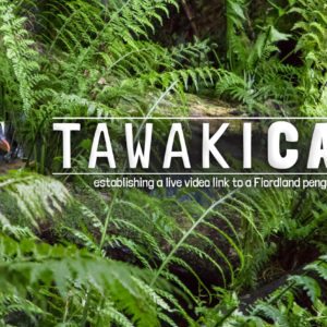 Crowdfunding TAWAKI.CAM Crowdfunding TAWAKI.CAM