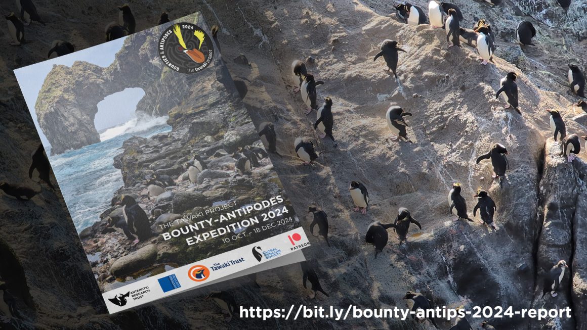 2024 Expedition report is out! 2024 Expedition report is out!