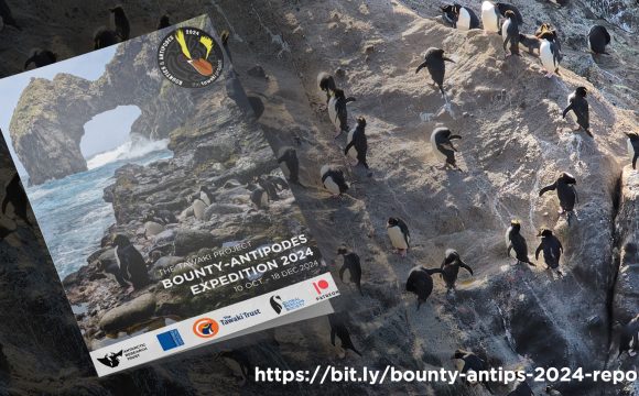 2024 Expedition report is out!