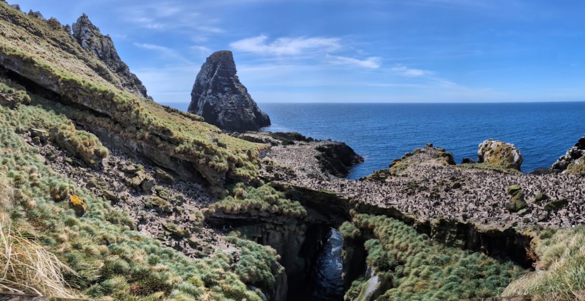 Christmas on Antipodes