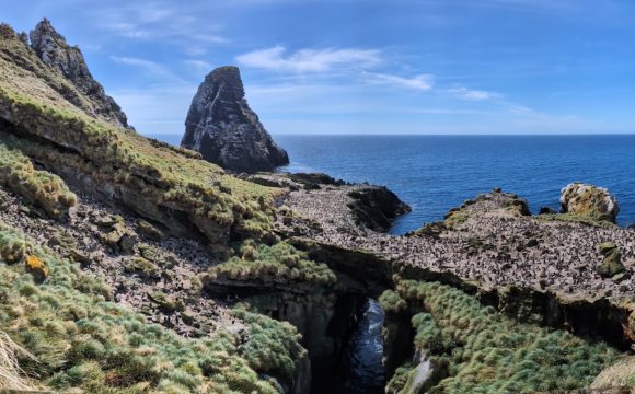 Christmas on Antipodes