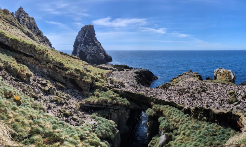 Christmas on Antipodes Christmas on Antipodes