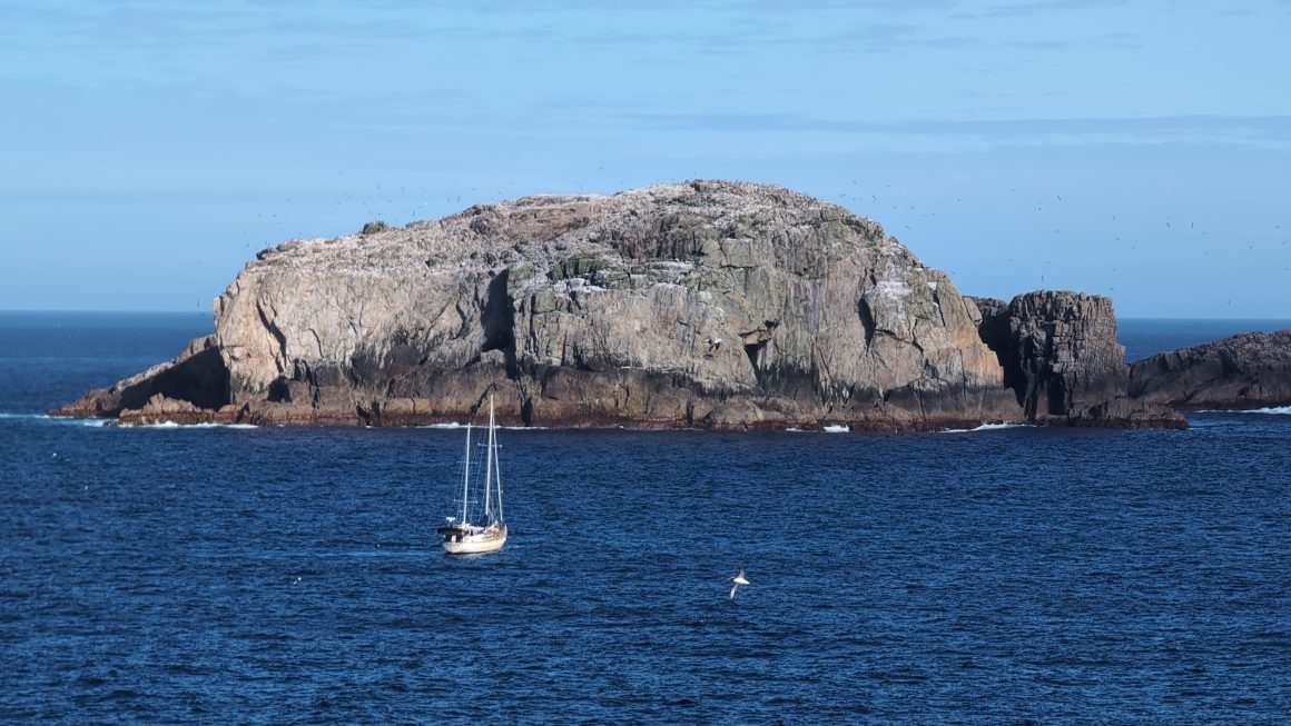 Southward to the Subantarctic